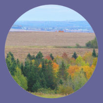 County Farm stickers