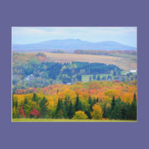 County Farmland postcards
