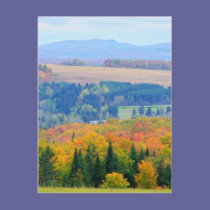 County Farmland postcards