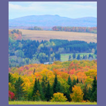 County Farmland t-shirts
