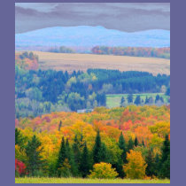 County Farmland t-shirts