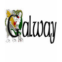 County Galway t-shirts