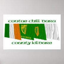 County Kildare Flags Poster