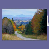 County Road cards