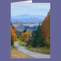 County Road cards