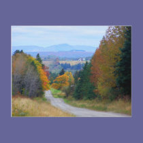 County Road postcards