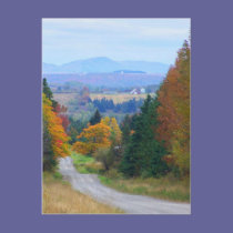 County Road postcards