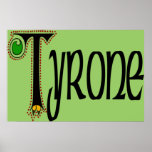 County Tyrone Poster Print