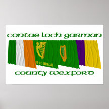 County Wexford Flags Print