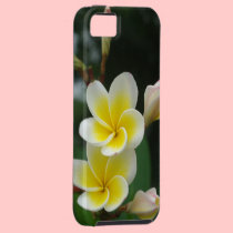 Couple Frangipani casemate cases