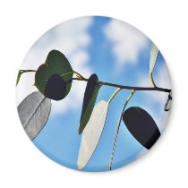 Couple Of Eucalyptus Leaves Agains Blue Sky magnets by lifesphere Couple Of Eucalyptus Leaves Agains Blue Sky magnets