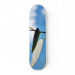 Couple Of Eucalyptus Leaves Agains Blue Sky Skateboards