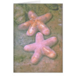 Couple of Starfish cards