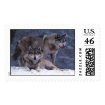 Couple postage
