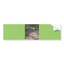 Courage of a Sapling Bumper Sticker