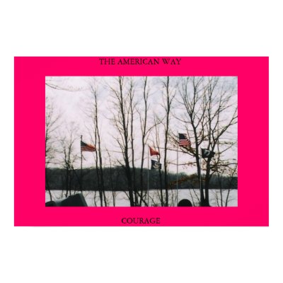 COURAGE THE AMERICAN WAY POSTERS by VIKINGJIM