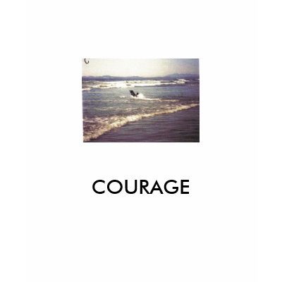 COURAGE TSHIRTS by galfato