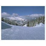 Courchevel, France, home of the Tree Valley ski ar Full Color Flyer