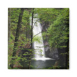 Courthouse Falls Magnets