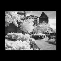 Courthouse McMinnville Tennessee postcards