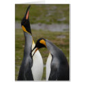 Courting King Penguins cards