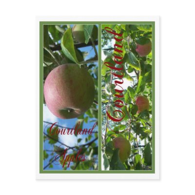 COURTLAND APPLE BOOKMARKS POSTCARD by dequilla