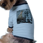COURTLY JESTERS PET CLOTHES