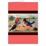 Courtship of Birds Cards
