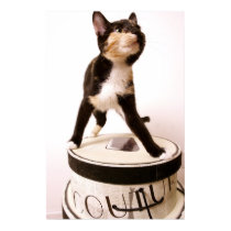 Couture Cat Print