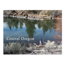 cove at Cove Postcards