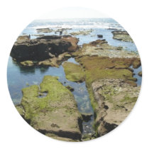 Cove at Low Tide Sticker