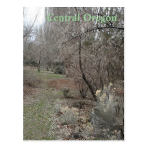 Cove Pathway Postcards