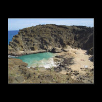 Cove postcards