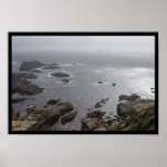 Cove posters