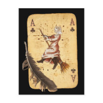 Cove Witch Post Cards