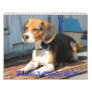 cover, Beagle Calendar