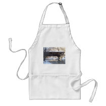 Covered Bridge Aprons