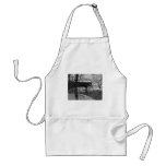 Covered Bridge (black and white) aprons