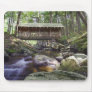 Covered Bridge in the Adirondacks Mouse Pads