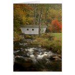 Covered Bridge Kent Falls State Park Connecticut Greeting Cards