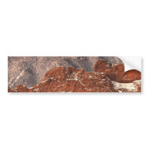 Covered in Snow Bumper Sticker