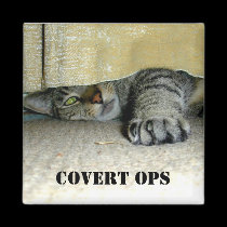 Covert ops magnets