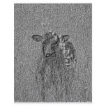COW2 FLYER