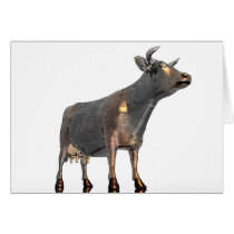 cow 4 cards by REDINARD cow 4 cards