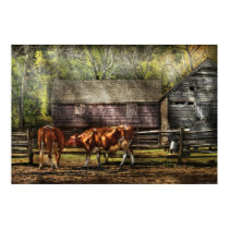 Cow - A couple of Cows posters