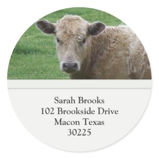 Cow Address Label Round Stickers