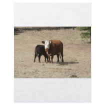Cow and Baby flyer