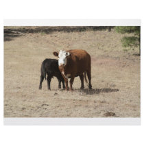 Cow and Baby letterhead
