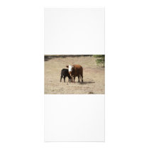 Cow and Baby rack cards