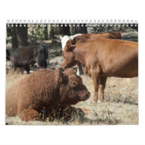 Cow and Bull calendar